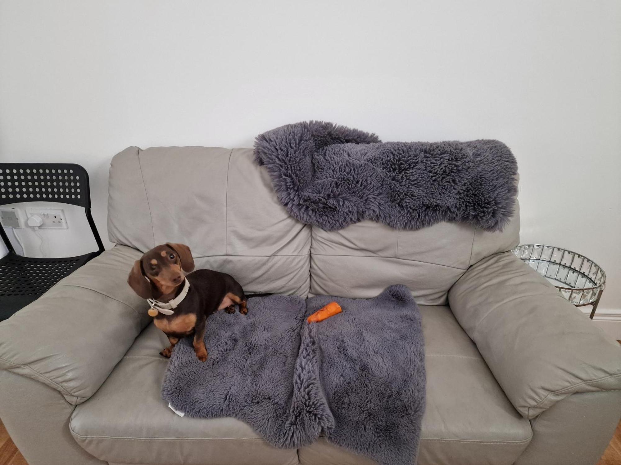 Aunty Katie'S House, Ni Tourist Board Certified & Located On The Main Oldpark Road To Belfast, With Free Continental Breakfast & Free Ultra Fast Sky Internet, Free Sky Sports & Free Sky Cinema, Self-Check In After 10Pm Gmt旅舍 外观 照片