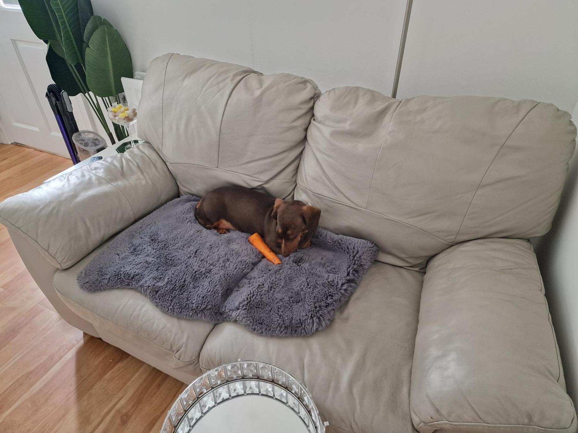 Aunty Katie'S House, Ni Tourist Board Certified & Located On The Main Oldpark Road To Belfast, With Free Continental Breakfast & Free Ultra Fast Sky Internet, Free Sky Sports & Free Sky Cinema, Self-Check In After 10Pm Gmt旅舍 外观 照片